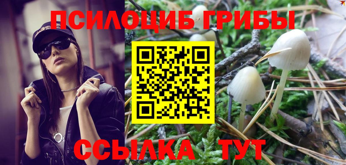 Галлюциногенные грибы Psilocybe  Вход с VPN  Когалым 